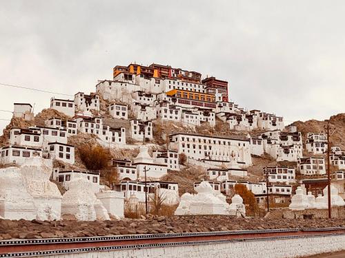 a group of white buildings on top of a mountain at Thiksey Eco Homestay in Ranbirpura