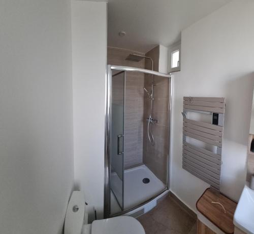 uma casa de banho com um chuveiro e um WC. em Appartement luxueux dans maison bourgeoise parisienne em Levallois-Perret