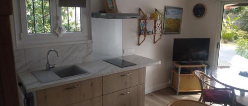 Il comprend une cuisine équipée d'un évier, d'une télévision et d'une table. dans l'établissement Gîte 