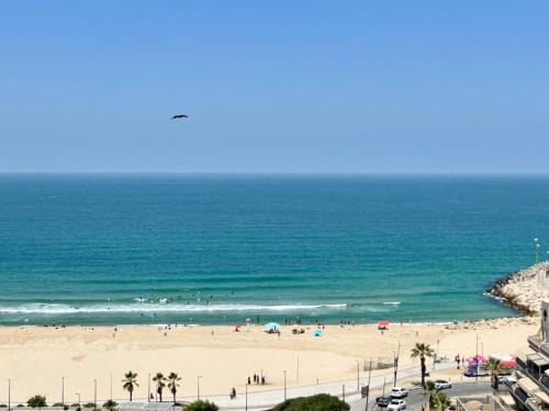 a view of a beach and the ocean at Blue Sea Suite in Ashkelon