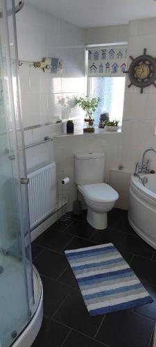 uma casa de banho com um WC e um lavatório em Sea Crest, Beautiful home in Tenby with sea views em Pembrokeshire