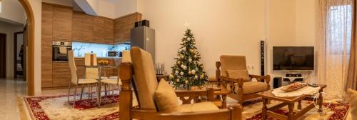 a living room with a christmas tree and a kitchen at Guest House Siatista in Siatista