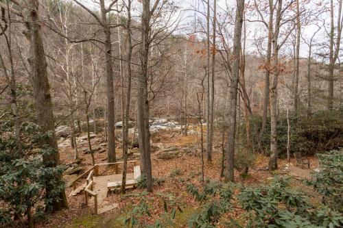 a wooden bench in the middle of a forest at Draggin Fly in Valle Crucis