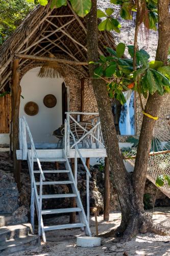 Φωτογραφία από το άλμπουμ του Sharazad Oasis Retreat σε Jambiani
