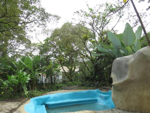 a blue plunge pool in the middle of a garden at Glamping Rio Celeste Heliconia in San Rafael