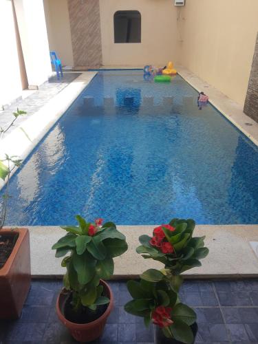 Kolam renang di atau dekat dengan Hotel y Bungalows Bugambilias