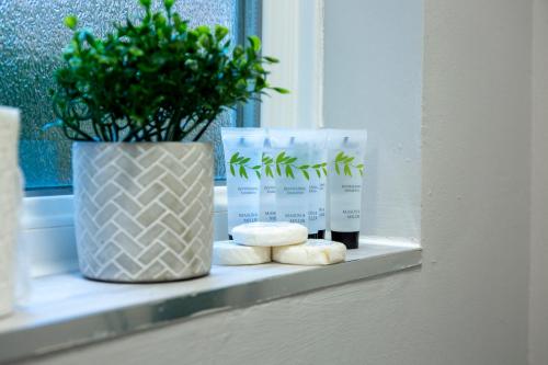 a window sill with a plant and a vase at Central Studio Apartments in Stratford upon Avon in Shottery