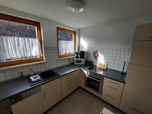 eine kleine Küche mit Spüle und Kühlschrank in der Unterkunft Ferienwohnung Gerken in Wieda