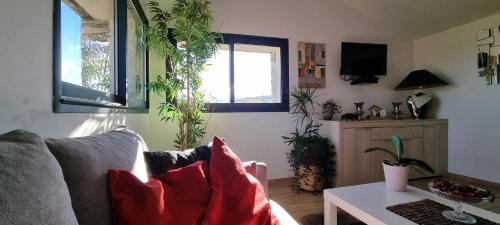 sala de estar con sofá y macetas en Domaine Colonna-Santini, Gite Piscine, Sauna, Spa en Porri