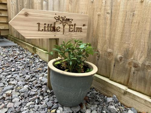 a plant in a pot next to a fence at Little Elm - luxury home from home, free parking, 30-40 mins walk from Bath city centre in Bath