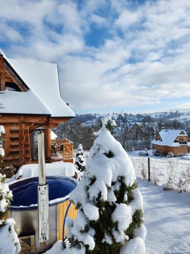 a snow covered tree in front of a cabin at Góralska Chatka 3 Highland Cottage - Jacuzzi, Sauna, Split AC, Private parking, Mountains View in Zakopane