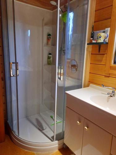 a shower with a glass door next to a sink at Arthur's Pass Ecolodge in Cass