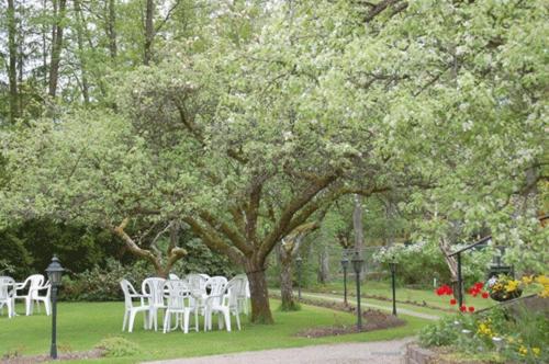 a group of white tables and chairs under a tree at Solvikens Pensionat in Ingelstad