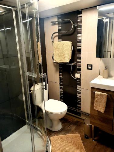 une salle de bain avec toilettes et douche en verre dans l'établissement Bolbi, à Metz