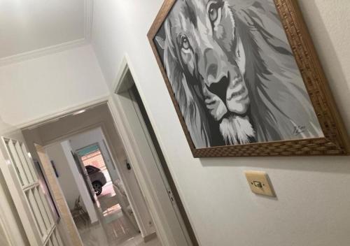 a painting of a horse is hanging on a wall at WR7 Hostel in São Bernardo do Campo