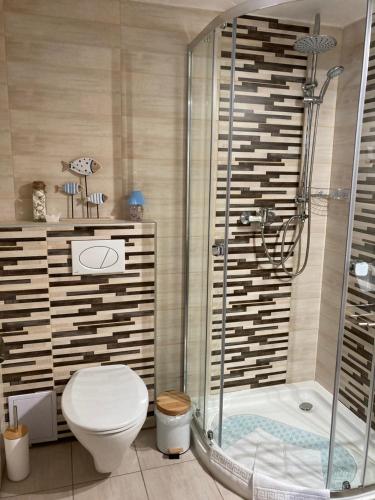 a bathroom with a shower and a toilet and a tub at Székelyudvar Fogadó in Lukácsháza