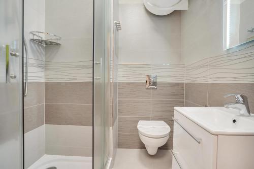 a bathroom with a shower and a toilet and a sink at Apartmán Alfa Klínovec in Loučná pod Klínovcem