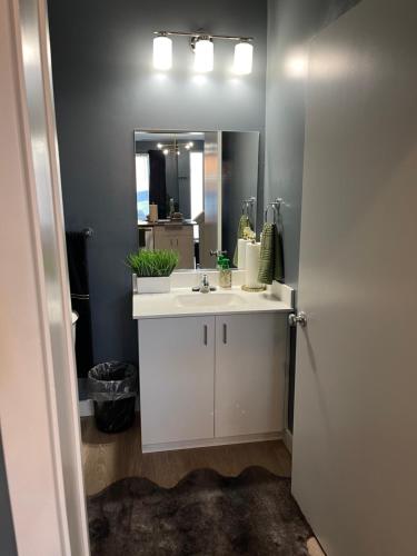 a bathroom with a white sink and a mirror at Scott’s Addition in Richmond