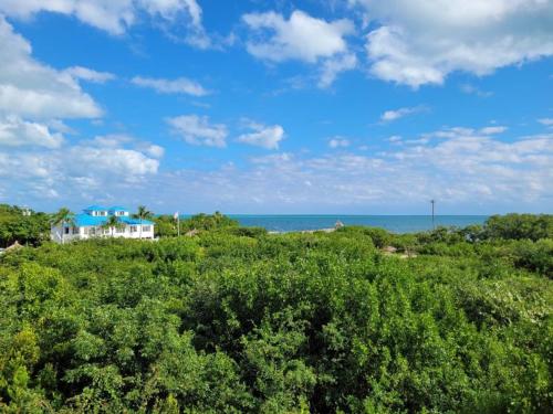 Views at Ocean Pointe – Photos 3