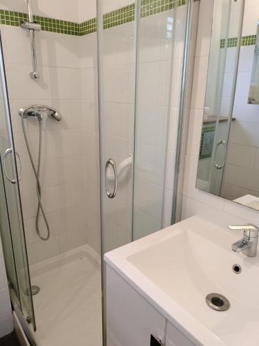 une salle de bain avec douche et lavabo dans l'établissement Chambre avec salon plain pied toulouse minimes, à Toulouse