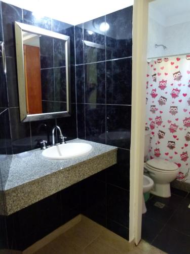 a bathroom with a sink and a toilet at Los Palmares Del Urugua-i Bungalows in Colón