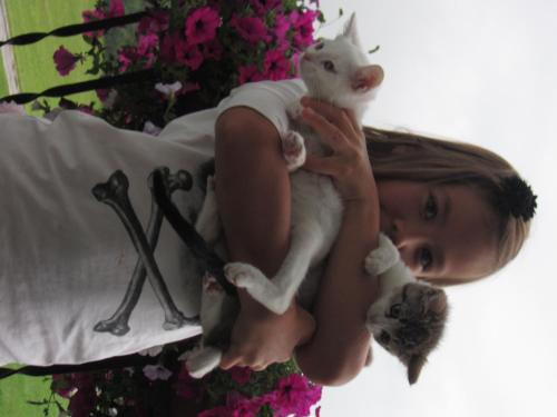 a young girl holding a cat and two kittens at Bauernhof Schink in Zell am Moos