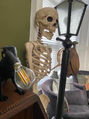 a skeleton sitting on a table next to a lamp at Dracula Rooms in Whitby