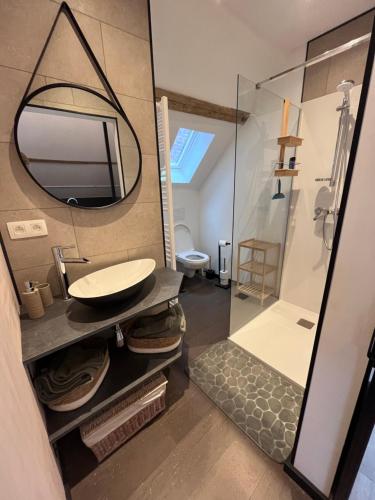 a bathroom with a sink and a shower with a mirror at Ferme du Grand Fresnoy in Molenbaix