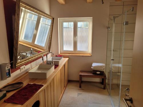 a bathroom with a sink and a glass shower at In der alten Gärtnerei B&B in Neuhof an der Zenn