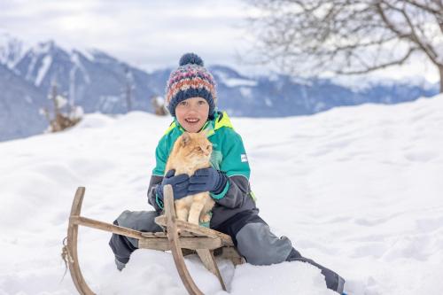 a young boy sitting on a sled with a dog at Tom's Alpenhütte in Jenig