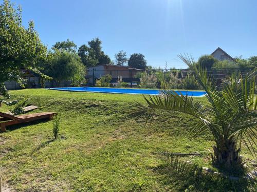 a swimming pool in a yard with a palm tree at Cabañas Santa Cruz, Ubicada a 10 min de la plaza, Piscina , Viñas, Ruta del Vino y mas in Santa Cruz