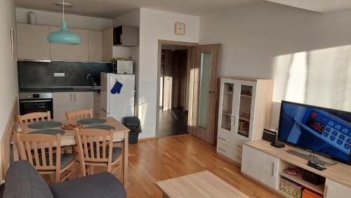 a kitchen and living room with a table and a television at Apartment Iva in Cerny Dul