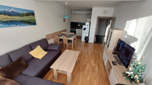 TV a/nebo společenská místnost v ubytování Apartment Iva