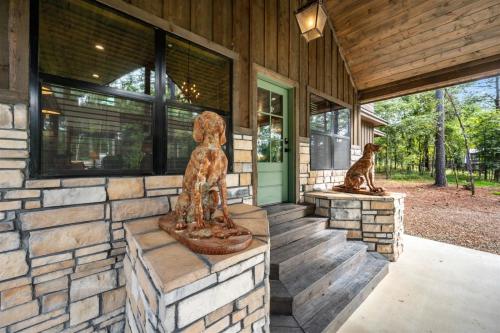 Lazy Dog – Photos 4