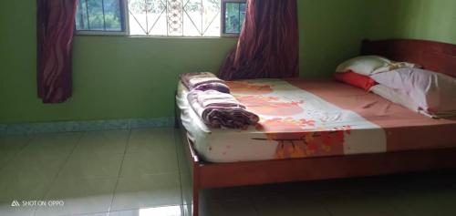 uma cama num quarto com uma parede verde em Tempasuk Homestay em Kota Belud