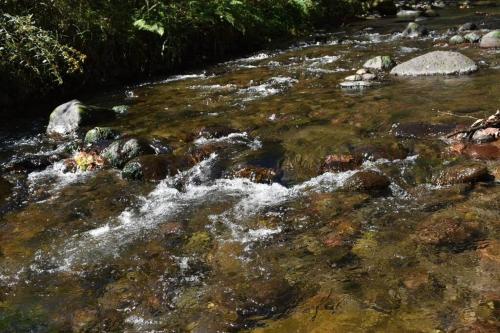a stream of water with rocks in a river at Casa de Campo La Niebla in Tlalnelhuayocan