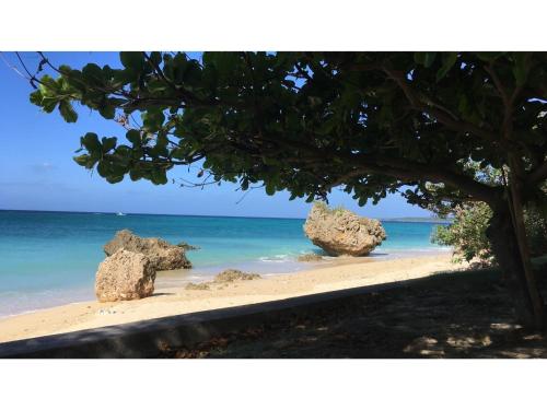 two rocks sitting on a beach with the ocean at On the Beach Lue - Vacation STAY 91578v in Sesoko