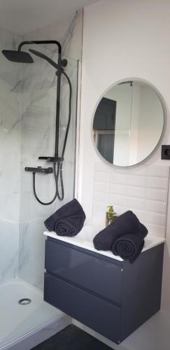 een badkamer met een wastafel en een spiegel bij Le Délice doré - Wifi - Parking Privée in Lens
