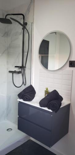 a bathroom with a sink and a mirror at La Plume d'Or - Wifi - Parking Privé in Lens