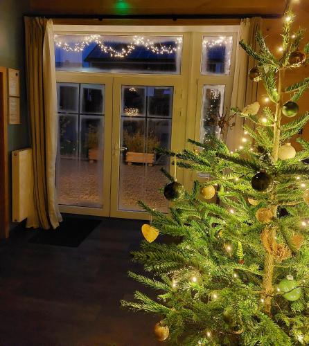 a christmas tree in front of a door at Le Clos Vert in Malmedy