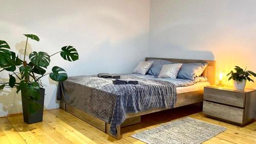 - une chambre avec un lit et une plante en pot dans l'établissement Old Town Apartment Przemyśl, à Przemyśl