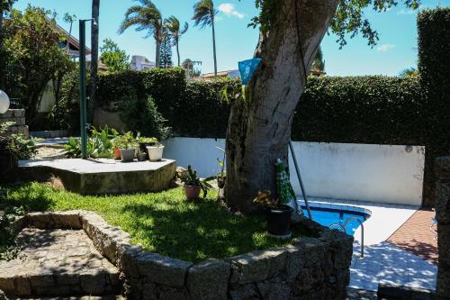 a garden with a tree and a fence with plants at Hostel Jardim das Bruxas 410 in Florianópolis