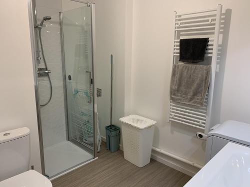 a bathroom with a shower and a toilet at Charmant T2 en centre-ville avec balcon, parking privé et équipements bébé à Fort-Mahon-Plage - FR-1-482-99 in Fort-Mahon-Plage