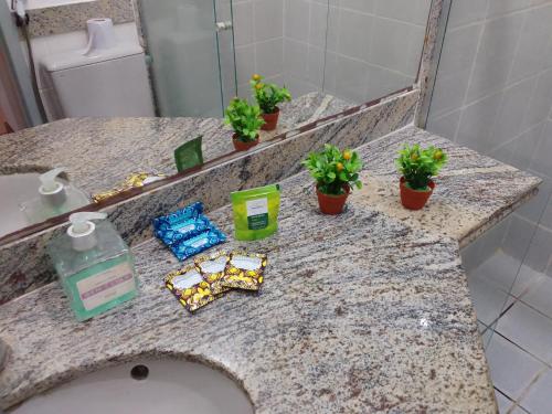um lavatório de casa de banho com vasos de plantas em cima em Acomodação Cecília. em Campos dos Goytacazes