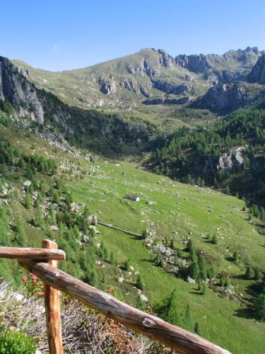 a view of a grassy mountain with a wooden fence at Baita Figliezzi in Castello Tesino