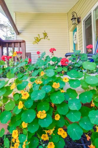The Little House – Photos 4