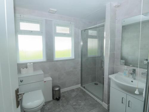 a bathroom with a toilet and a shower and a sink at The Bolthole in Dartmouth