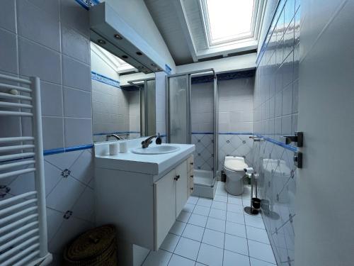 La salle de bains est pourvue d'un lavabo et de toilettes. dans l'établissement Villa Saint-Jean-de-Luz, 4 pièces, 6 personnes - FR-1-239-718, à Saint-Jean-de-Luz