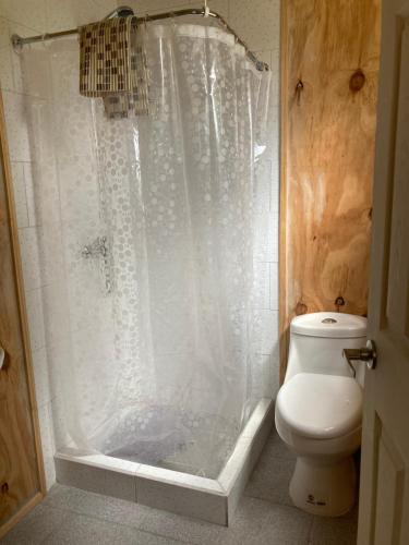 a bathroom with a shower and a toilet at Hostal Flor del Meli in Dalcahue