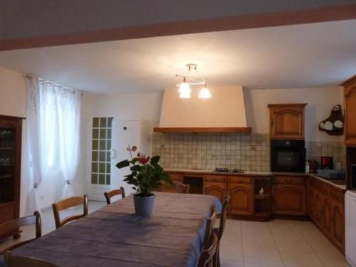 a kitchen with a table with a potted plant on it at Gîte Vallon-sur-Gée, 6 pièces, 10 personnes - FR-1-410-212 in Vallon-sur-Gée